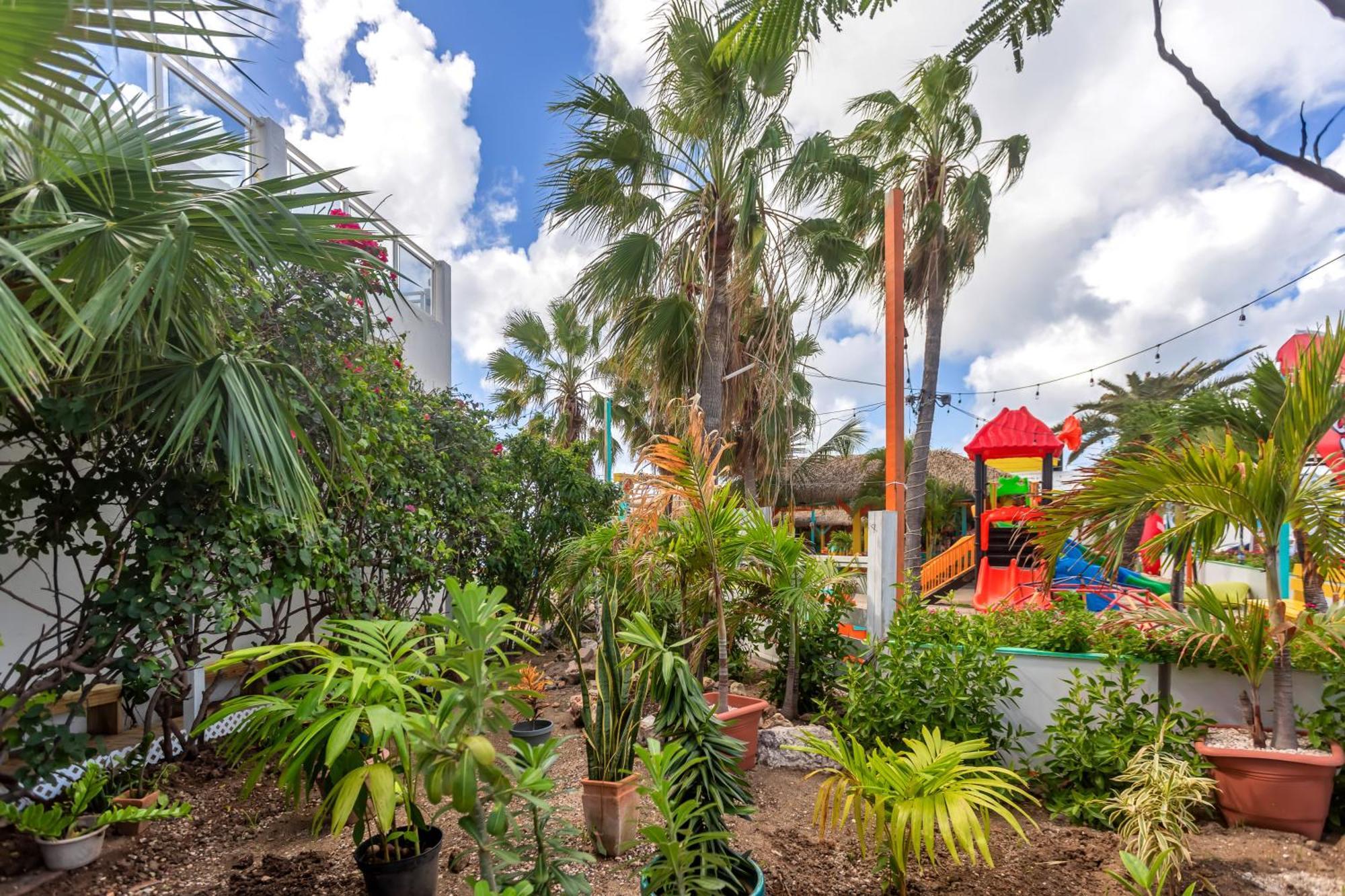 Maho Beach House - Grand Studio - Oceanview Suite Buitenkant foto